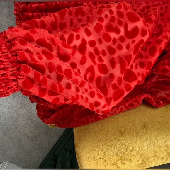 Karlie Red Leopard Dress - Picture 6 of 6